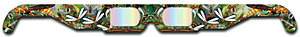 Insects Glasses